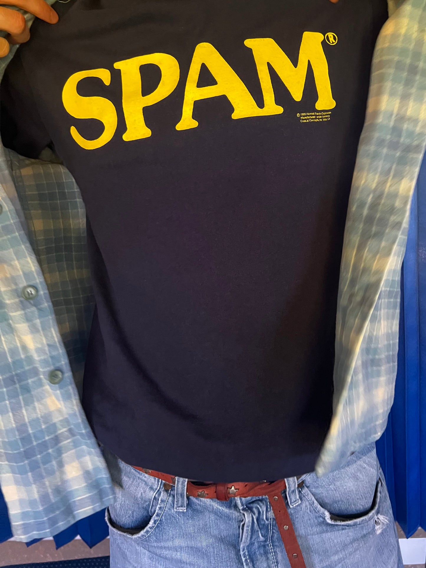 SPAM HAM