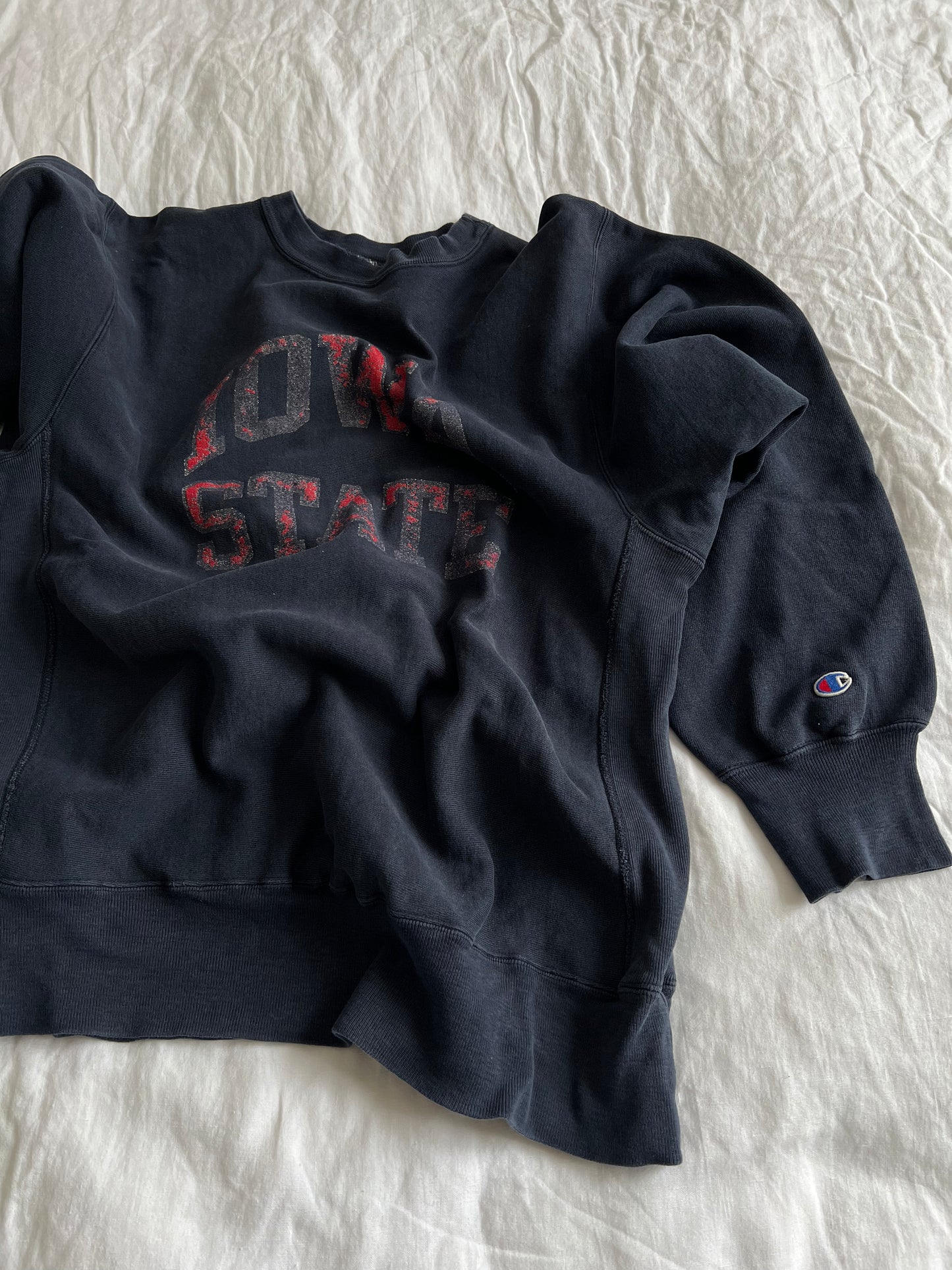 VINTAGE 90s CHAMPION REVERSE WEAVE SWEATSHIRT