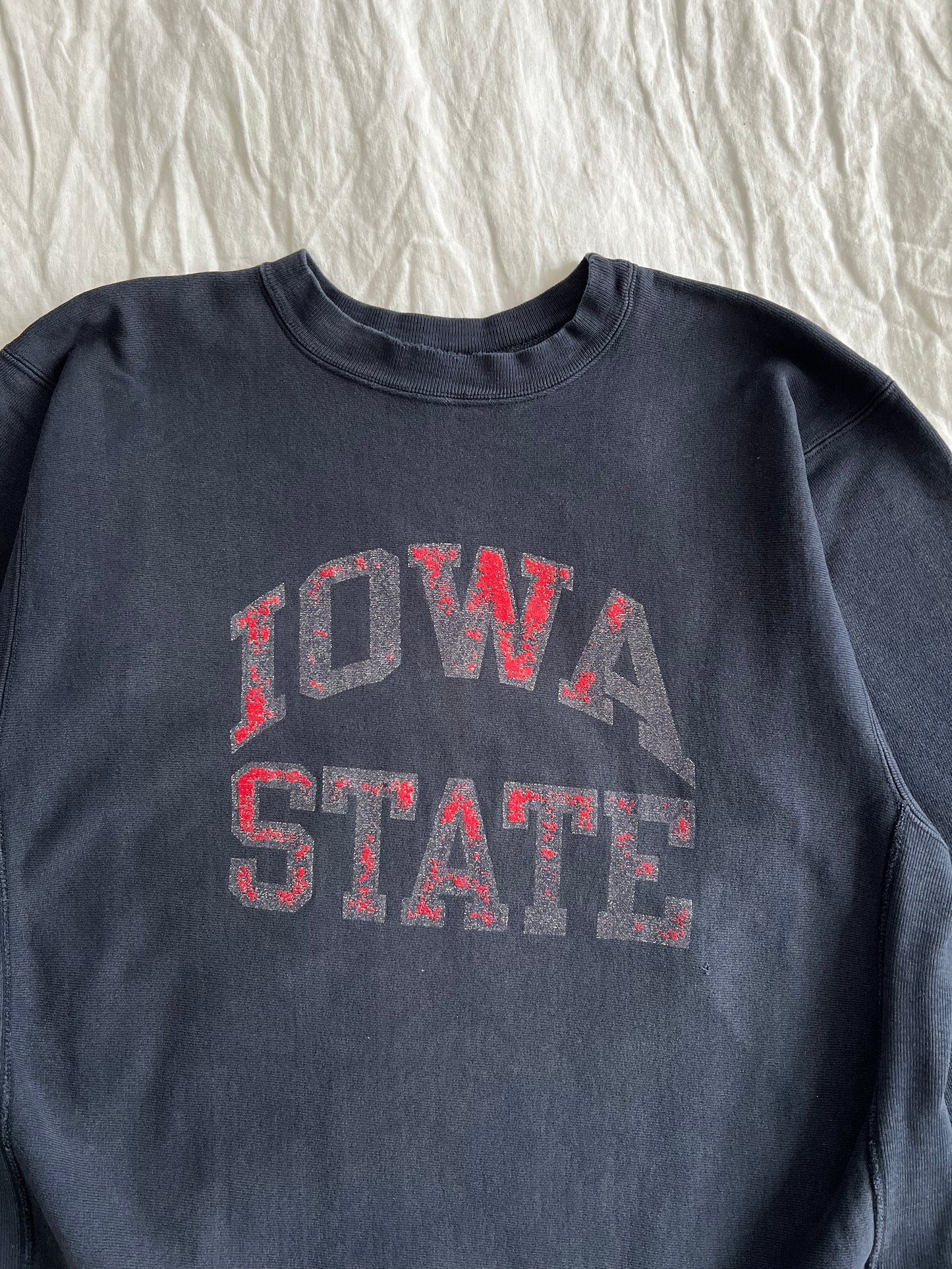 VINTAGE 90s CHAMPION REVERSE WEAVE SWEATSHIRT