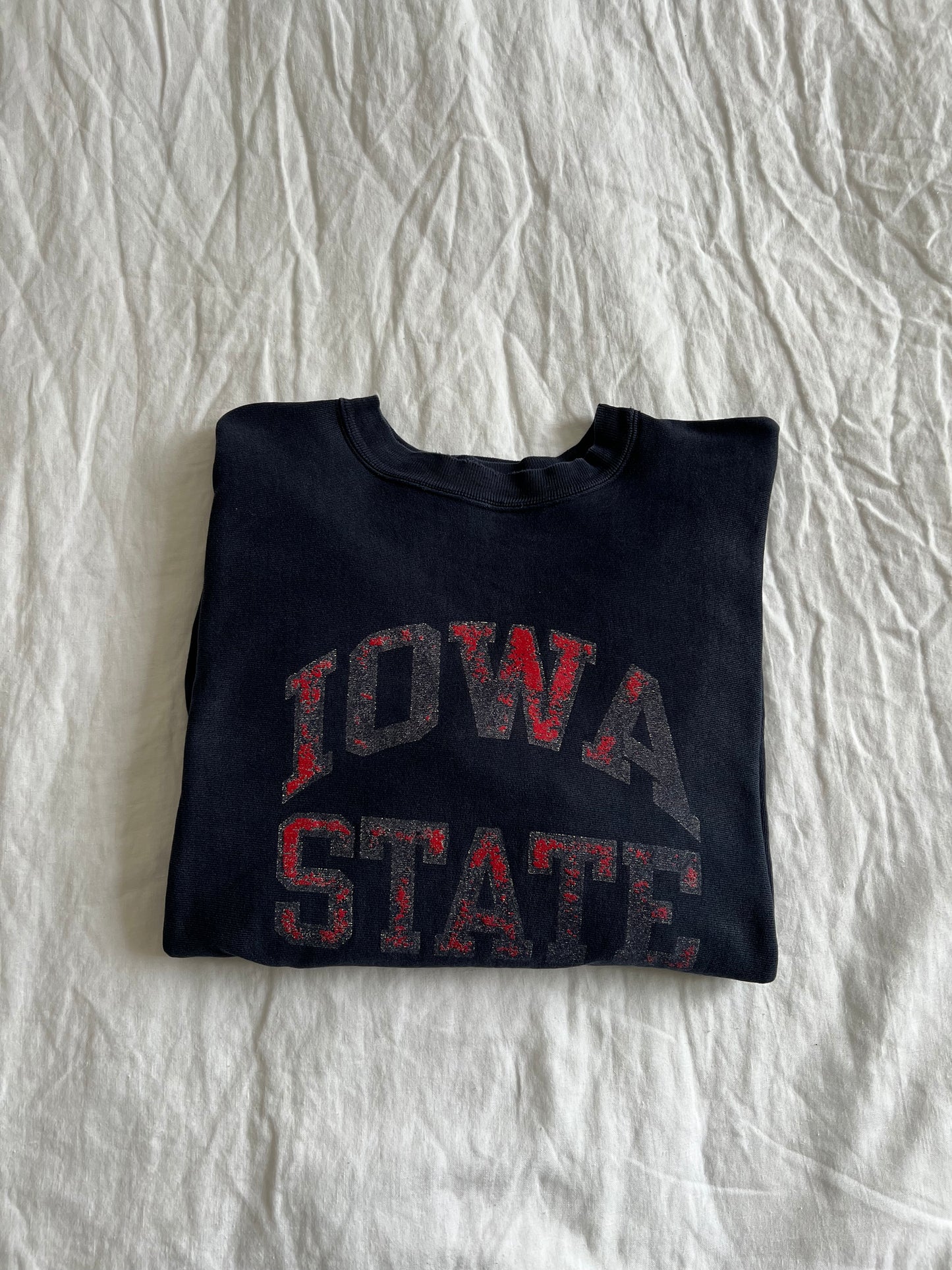 VINTAGE 90s CHAMPION REVERSE WEAVE SWEATSHIRT